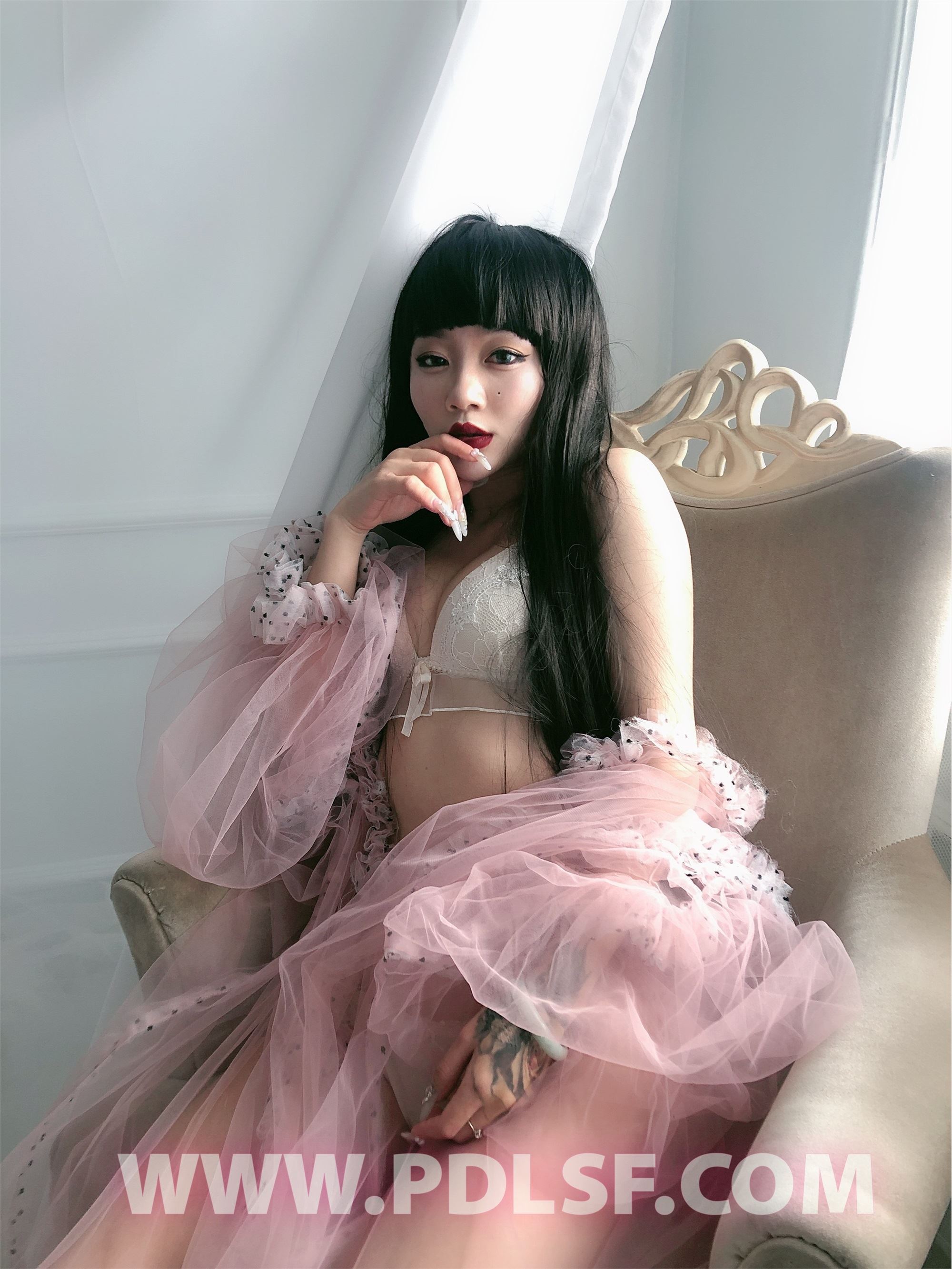 PDL潘多拉 2020.02.03 专辑No.275